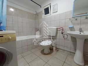 Apartament 3 camere 2 bai zona mehala la curte comuna - imagine 11