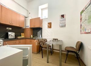 Apartament 2 camere -Spatiu Birouri, zona Podgoria - imagine 10