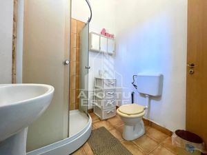 Apartament 2 camere -Spatiu Birouri, zona Podgoria - imagine 12