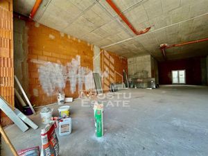 Spatiu comercial, 119 mp utili, zona Take Ionescu - imagine 3