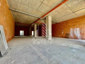 Spatiu comercial, 149 mp utili, zona Take Ionescu - imagine 5