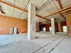 Spatiu comercial, 149 mp utili, zona Take Ionescu - imagine 4