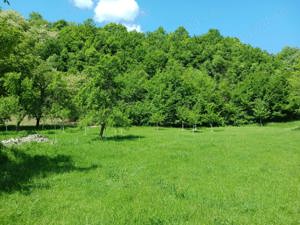 Teren de vanzare zona Băile Herculane 