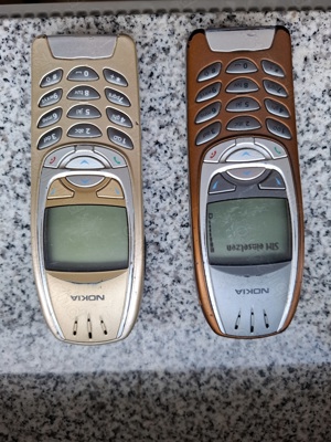 Telefoane mobile clasice Nokia 6310 si 6310i 