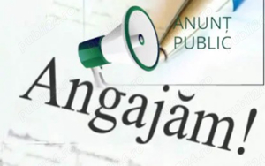 Brutaria VALYSTON Racaciuni angajeaza - imagine 4 Brutaria VALYSTON Racaciuni angajeaza - imagine 4