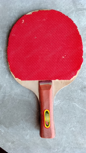 Paleta de tenis de masa Lianhua