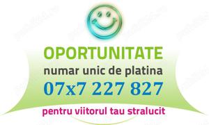 Numar PLATINA - 07x7.227.827 - VIP usor aur gold numere usoare cartela business preferential simplu