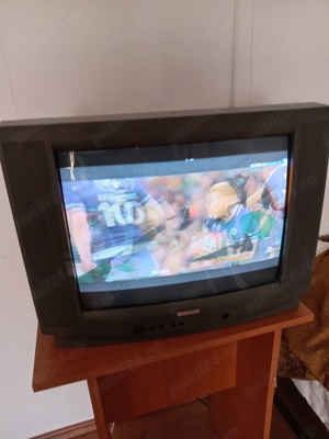 TV color SEG și WATSON 60 cm clasic - imagine 3