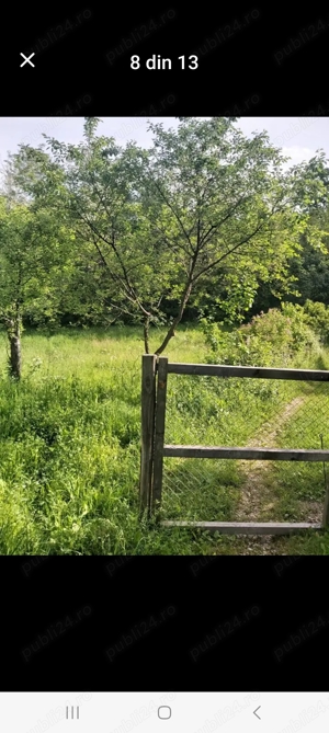 Casă batrânească+Pădure Fânețe  - imagine 5