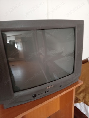 TV color SEG și WATSON 60 cm clasic - imagine 2