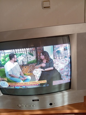 TV color SEG și WATSON 60 cm clasic - imagine 4