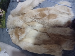 vand haina  - imagine 2