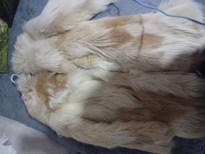 vand haina  - imagine 3