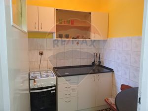 Apartament 1 CAMERA  în zona Podgoria - imagine 11