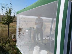 Miere de albine,  din stupina proprie. De la 25 lei kg. - imagine 4