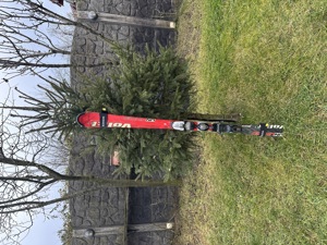 Vand skiuri VOLKI - S1 - UNLIMITED - 1630 mm