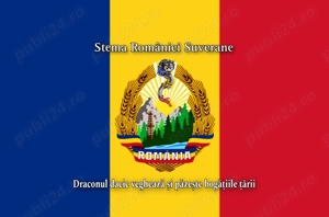 Steag banner Stema României cu lupul dacic 