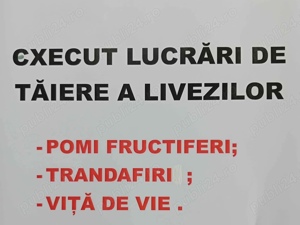 Taoletare pomi fructiferi vita de vie etc 