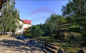 Hotel / Pensiune 7 camere  in Ghelari, jud Hunedoara - imagine 7