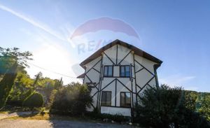 Hotel / Pensiune 7 camere  in Ghelari, jud Hunedoara - imagine 8