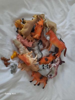 Lot Animale Domestice