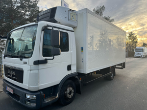 MAN TGL 8150 Duba Frigorifica