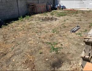 200 Ron la zi angajez 2 muncitori necalificați  - imagine 2