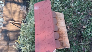 200 Ron la zi angajez 2 muncitori necalificați 