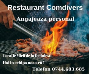 Restaurant Comdivers angajeaza personal 