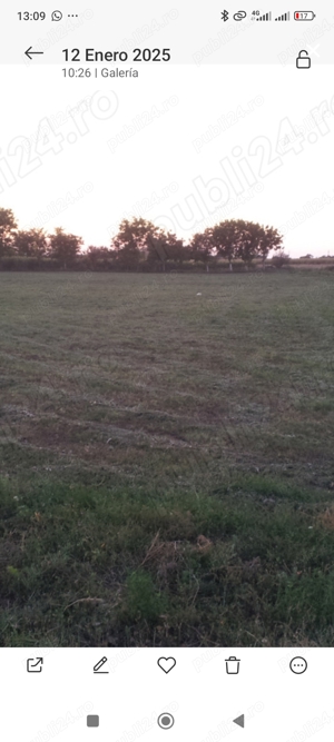 Teren de inchiriat ,suprafata 8400 m 2  in Carpinis Timis pe drumul DN 59A    - imagine 44