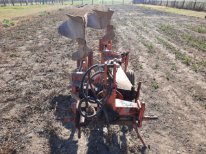 Plug Viaud - imagine 3