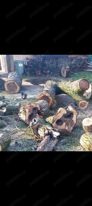 Tai pomi la Domiciliu 