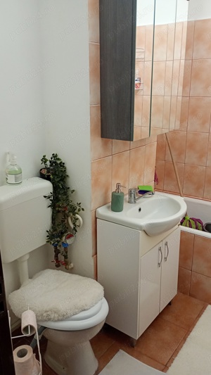 inchiriere apartament cu o cameră  - imagine 2