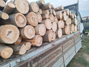 Fag uscat și verde!! - imagine 2