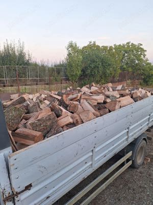 Fag uscat și verde!! - imagine 4