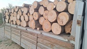 Fag uscat și verde!! - imagine 5