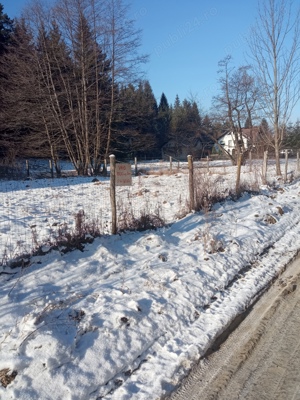 teren intravilan retras în pădure  - imagine 3