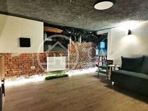 Apartament de închiriat cu 1 camera în zona ULTRACENTRALĂ, Oradea - imagine 2