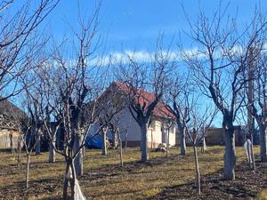 Vand casa si gradina cu pomi fructiferi in Cuca, jud.Arges (Sat.Manesti) - imagine 9