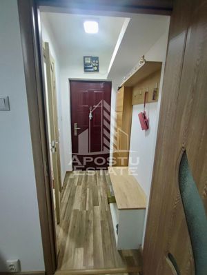 Apartament 2 camere, parter, Sagului - imagine 3