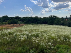 Vănd casă în Diosig (zona dealuri) - imagine 6