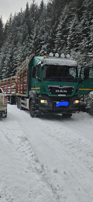 Camion forestier Man TGS 33.500