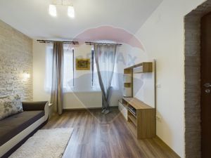 Ideal investitie | Apartament 2 camere in vila | zona Parcul Carol - imagine 9