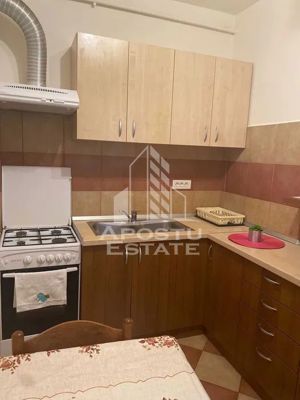 Apartament 2 camere, Centrala Proprie, Calea Torontalului - imagine 2