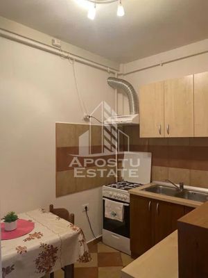 Apartament 2 camere, Centrala Proprie, Calea Torontalului - imagine 4