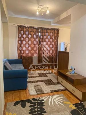 Apartament 2 camere, Centrala Proprie, Calea Torontalului - imagine 8