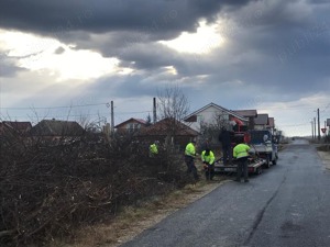 Servicii peisagistice