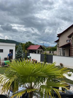 Servicii peisagistice