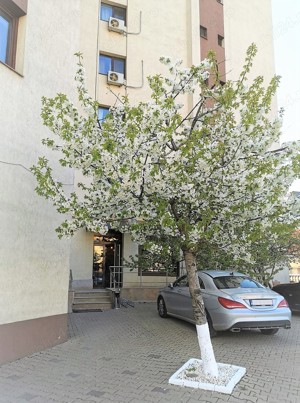 Apartament 1 camera, zona Palas Mall, bloc nou - imagine 6