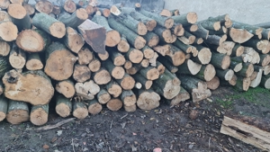 lemn pentru foc - imagine 2